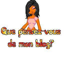 que pensez-vs de mon blog?