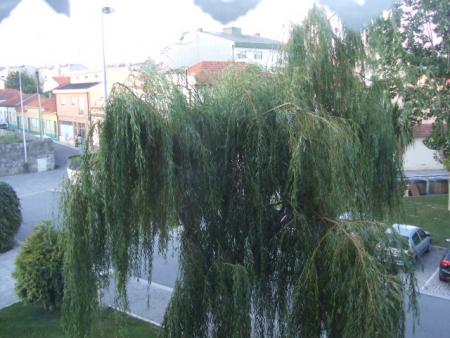 Bienvenue chez moi au Portugal ....