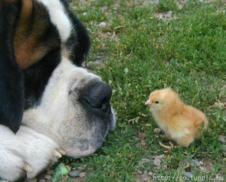 couple tr�s �trange